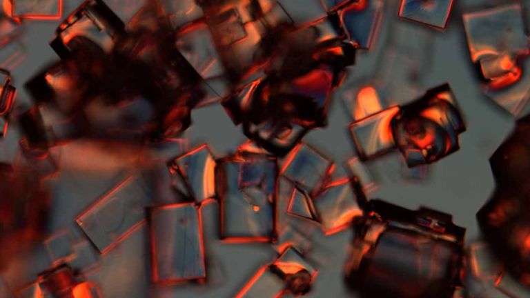 NRI-MCDB Microscopy Facility