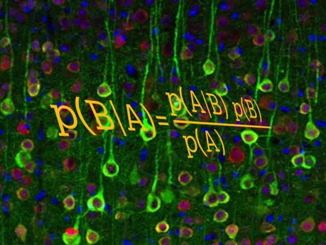 Computational and Theoretical Neuroscience