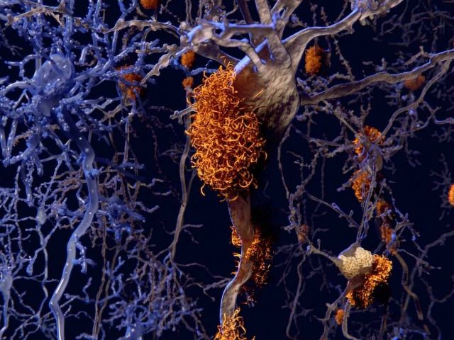 Dissolving the Gordian Knot